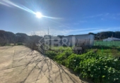 Rural estate for sale in Punta Umbría ref: TR284733 photo