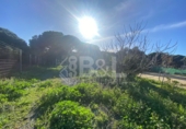 Rural estate for sale in Punta Umbría ref: TR284733 photo