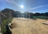 Rural estate for sale in Punta Umbría ref: TR284733 photo