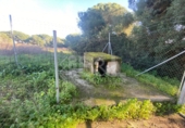 Rural estate for sale in Punta Umbría ref: TR284733 photo