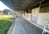 Rural estate for sale in Punta Umbría ref: TR284733 photo