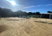 Rural estate for sale in Punta Umbría ref: TR284733 photo