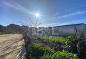Rural estate for sale in Punta Umbría ref: TR284733 photo