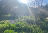 Rural estate for sale in Punta Umbría ref: TR284733 photo