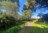 Rural estate for sale in Punta Umbría ref: TR284733 photo