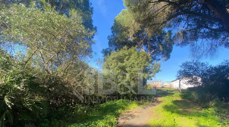 Huelva - Punta Umbría - 3000m2