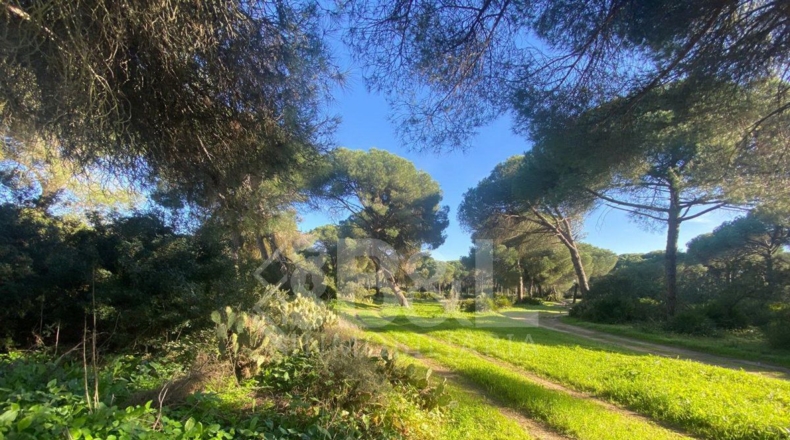 Huelva - Punta Umbría - 3000m2