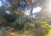Rural estate for sale in Punta Umbría ref: TR284733 photo