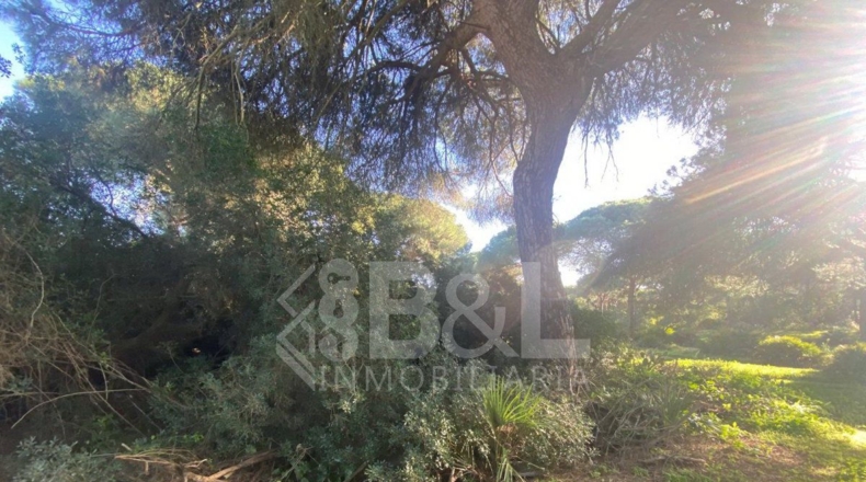 Huelva - Punta Umbría - 3000m2