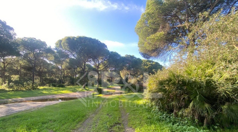 Huelva - Punta Umbría - 3000m2