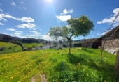 Non-developable land for sale in Arroyomolinos de León ref: TR254691 photo