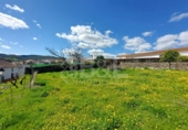 Non-developable land for sale in Arroyomolinos de León ref: TR254691 photo