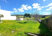 Non-developable land for sale in Arroyomolinos de León ref: TR254691 photo