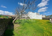 Non-developable land for sale in Arroyomolinos de León ref: TR254691 photo