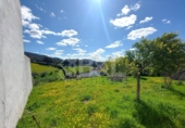 Non-developable land for sale in Arroyomolinos de León ref: TR254691 photo