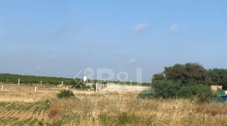 Huelva - Rociana del Condado - 3792m2