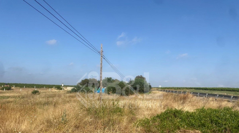 Huelva - Rociana del Condado - 3792m2