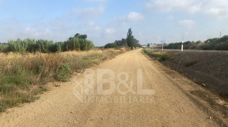 Huelva - Rociana del Condado - 3792m2