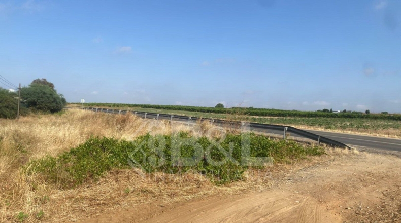 Huelva - Rociana del Condado - 3792m2