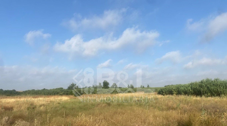 Huelva - Rociana del Condado - 3792m2