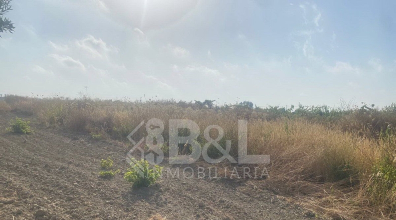 Huelva - Rociana del Condado - 3792m2