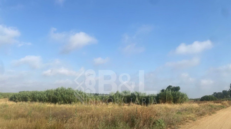 Huelva - Rociana del Condado - 3792m2