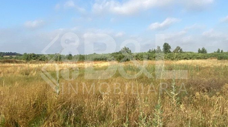 Huelva - Rociana del Condado - 3792m2