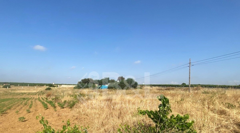 Huelva - Rociana del Condado - 3792m2