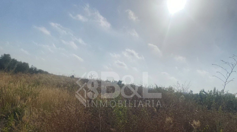 Huelva - Rociana del Condado - 3792m2