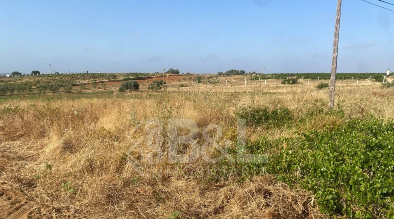 Huelva - Rociana del Condado - 3792m2