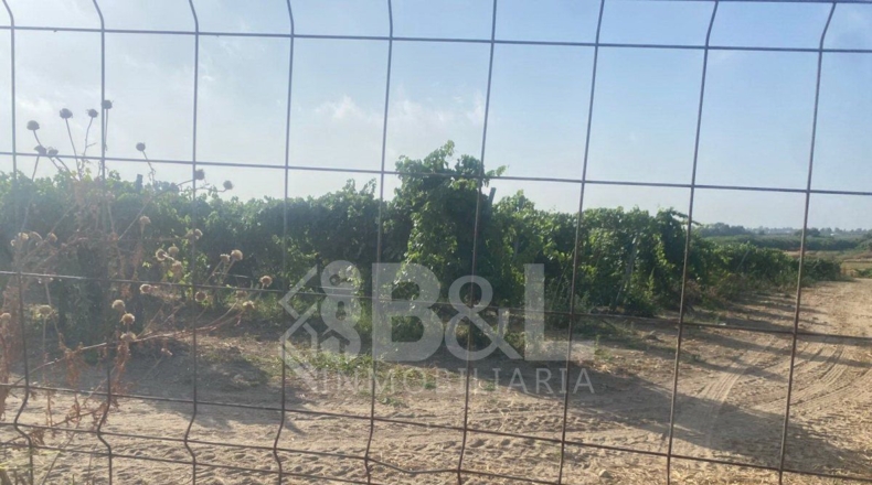 Huelva - Rociana del Condado - 3792m2