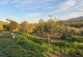 Finca rústica en venda a Alhaurín el Grande ref.: TR100786 foto
