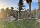 Finca rústica en venda a Alhaurín el Grande ref.: TR100786 foto