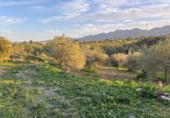 Finca rústica en venda a Alhaurín el Grande ref.: TR100786 foto