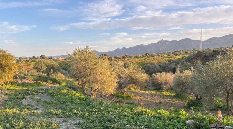 Malaga - Alhaurín el Grande - 3310m2
