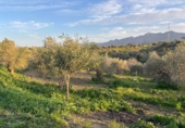 Finca rústica en venda a Alhaurín el Grande ref.: TR100786 foto
