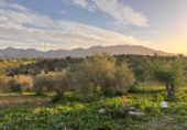 Finca rústica en venda a Alhaurín el Grande ref.: TR100786 foto