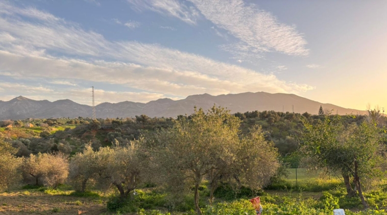 Malaga - Alhaurín el Grande - 3310m2