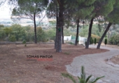 Finca rústica en venda a Càceres ref.: TR16390 foto