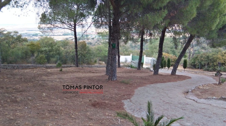 Cáceres - Cáceres - 6000m2