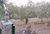 Finca rústica en venda a Càceres ref.: TR16390 foto