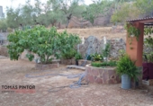 Finca rústica en venda a Càceres ref.: TR16390 foto