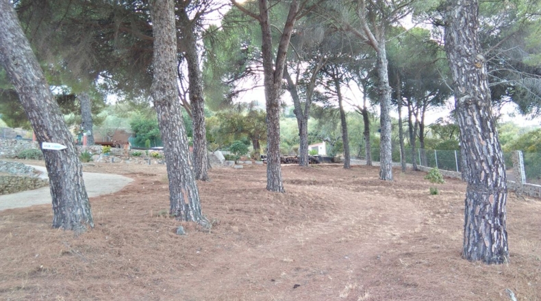 Cáceres - Cáceres - 6000m2