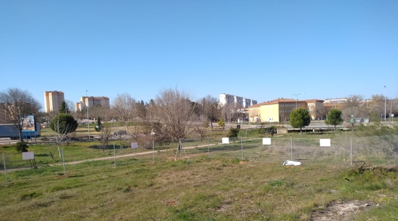 Cáceres - Cáceres - 240m2