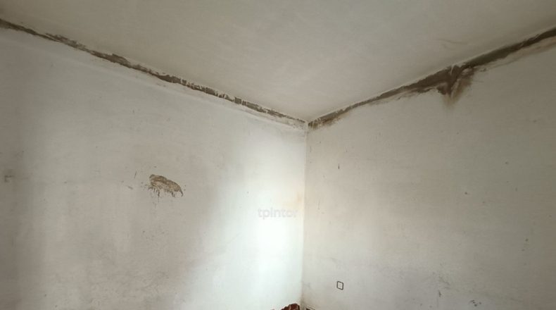 Caceres - Cáceres - 100m2