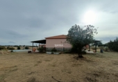 Rural estate for sale in Cáceres ref: TR357717 photo