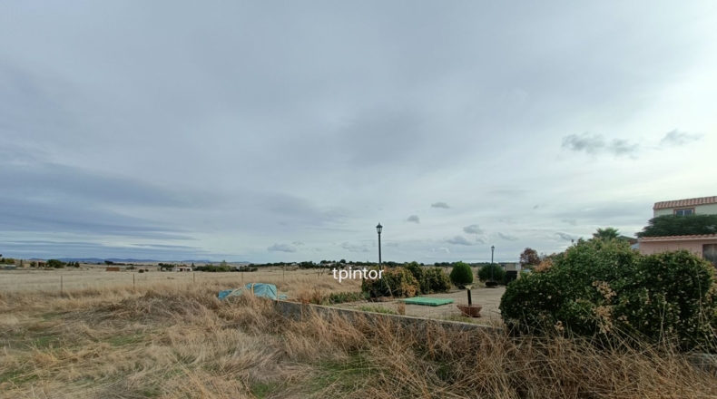 Cáceres - Cáceres - 2500m2
