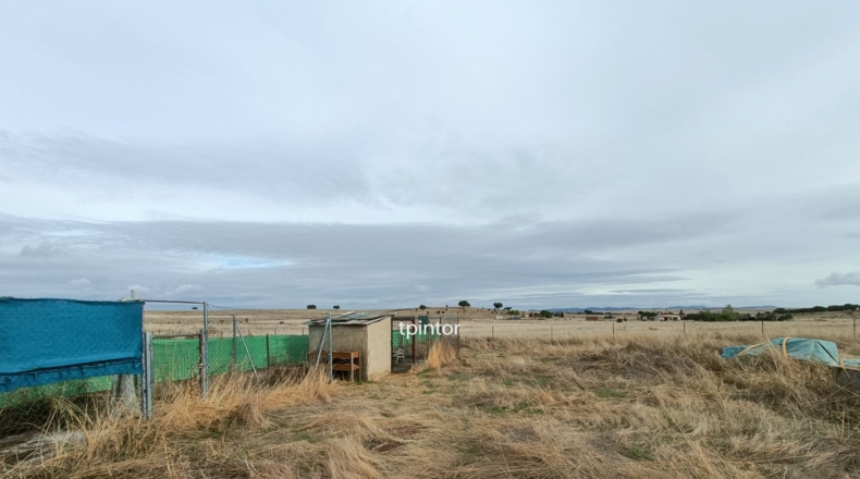 Cáceres - Cáceres - 2500m2