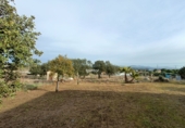 Rural estate for sale in Malpartida de Cáceres ref: TR383083 photo