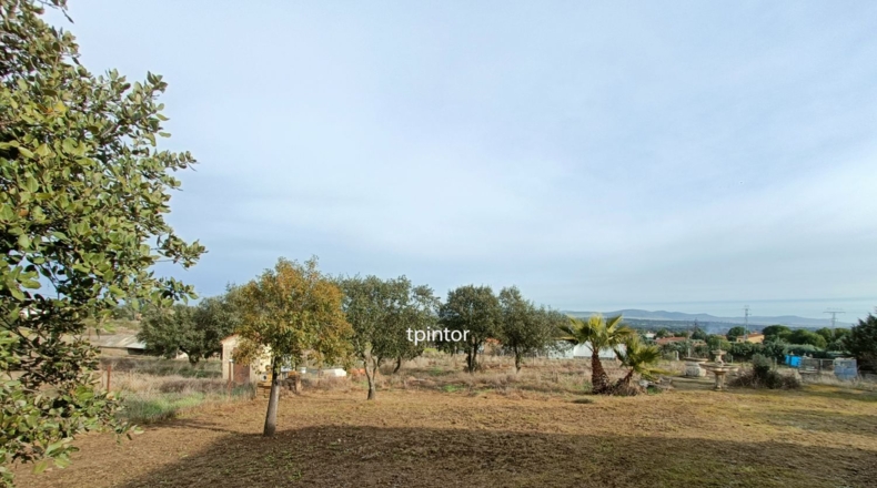 Cáceres - Miajadas - 5000m2